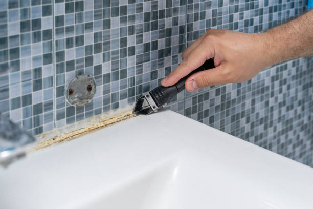 Best HVAC Mold Remediation in Ocean City, NJ