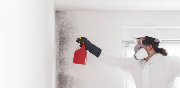Ocean City, NJ Mold Remediation Company