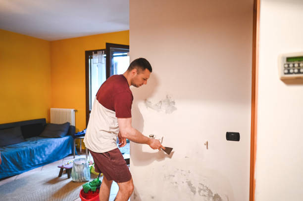 Best Mold Remediation for Specific Building Types in Ocean City, NJ